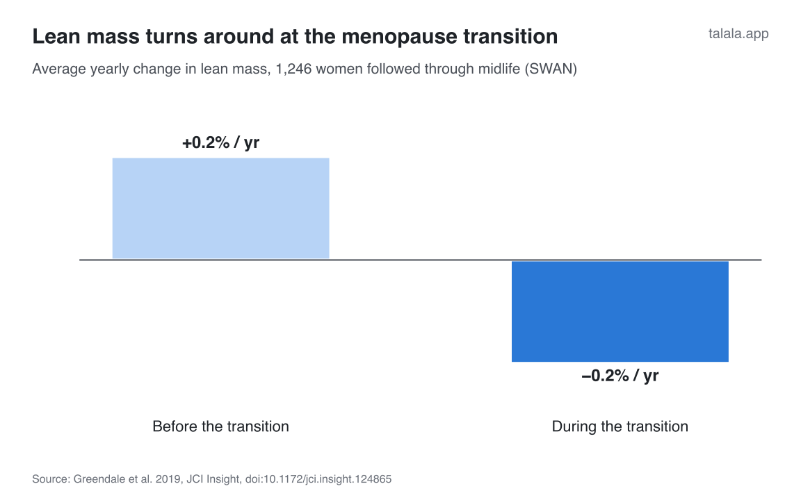 Yearly change in lean mass. Before the transition +0.2%/yr, during the transition −0.2%/yr. Source: Greendale 2019, Results