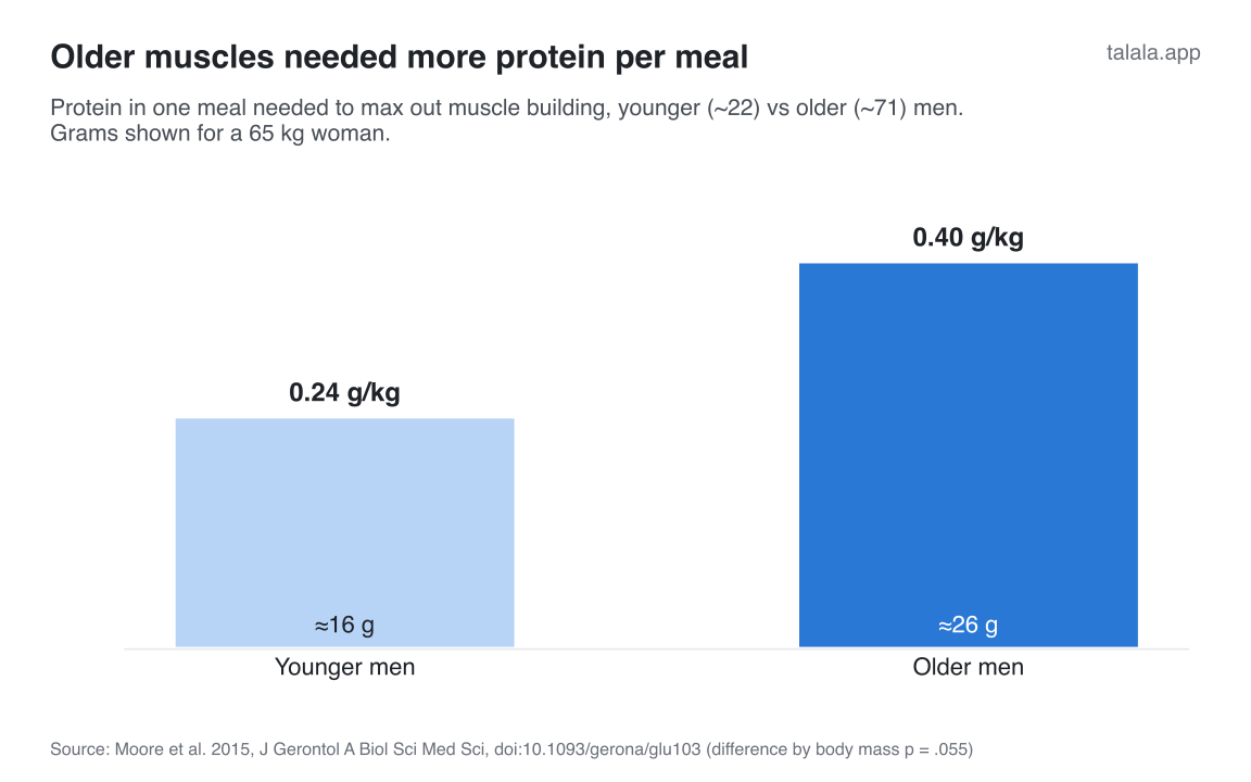 Protein in one meal needed to max out muscle building. Younger men 0.24 g/kg (about 16 g at 65 kg), older men 0.40 g/kg (about 26 g at 65 kg). Source: Moore 2015 (abstract; values also cited in Morton 2018 Discussion)